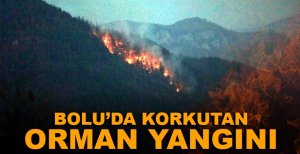 BOLU’DA KORKUTAN YANGIN