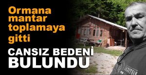 BOLU'DA MANTAR TOPLARKEN HAYATINI KAYBETTİ