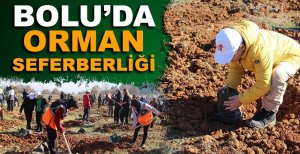 BOLU’DA ORMAN SEFERBERLİĞİ