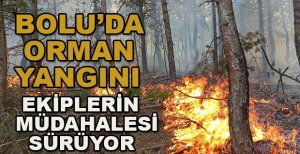 BOLU’DA ORMAN YANGINI