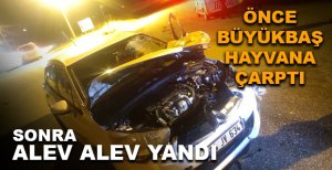 BOLU'DA TALİHSİZ SÜRÜCÜNÜN BAŞINA GELMEYEN KALMADI