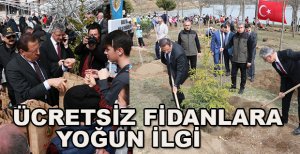 BOLU’DA ÜCRETSİZ DAĞITILAN FİDANLARA YOĞUN İLGİ