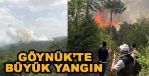BOLU’NUN GÖYNÜK İLÇESİNDE ORMAN YANGINI