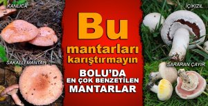 BU MANTARLARI KARIŞTIRMAYIN!