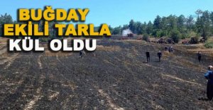BUĞDAY EKİLİ TARLA KÜL OLDU