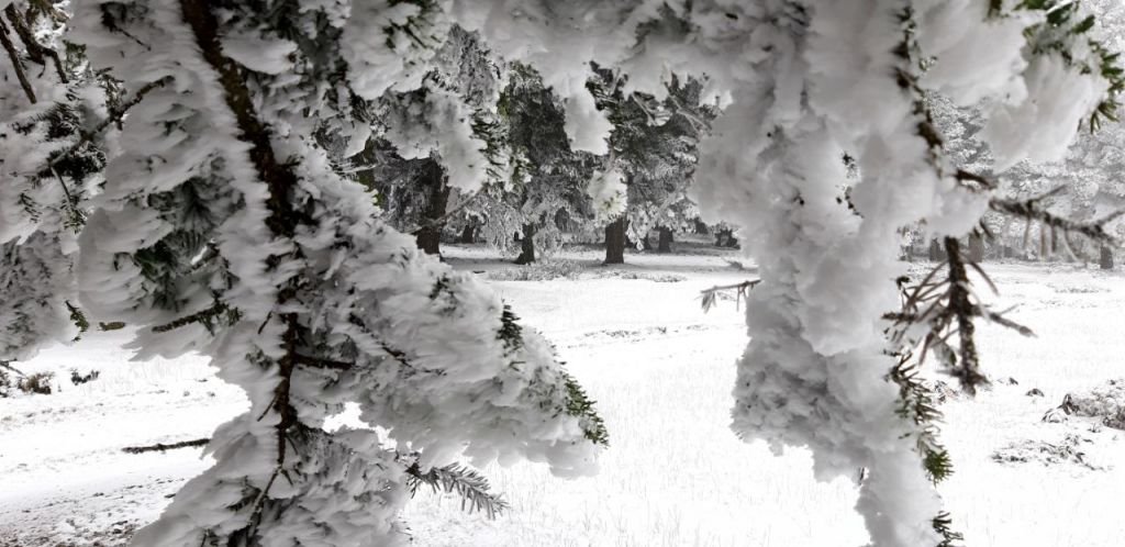 ABANT BEYAZ GELİNLİĞİNİ GİYDİ