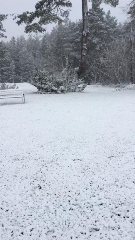 ABANT'A İLK KAR DÜŞTÜ