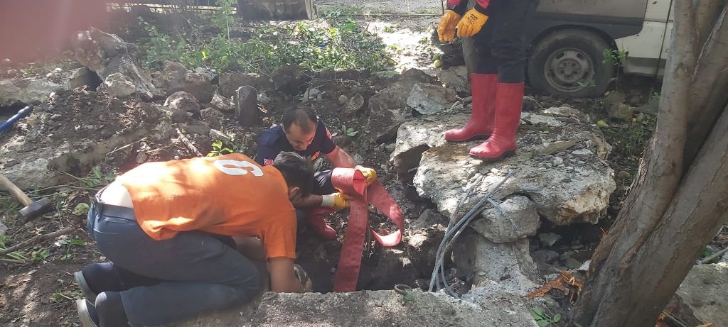 AT SU KUYUSUNA DÜŞTÜ