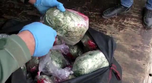 BOLU NARKOTİK İŞ BAŞINDA...