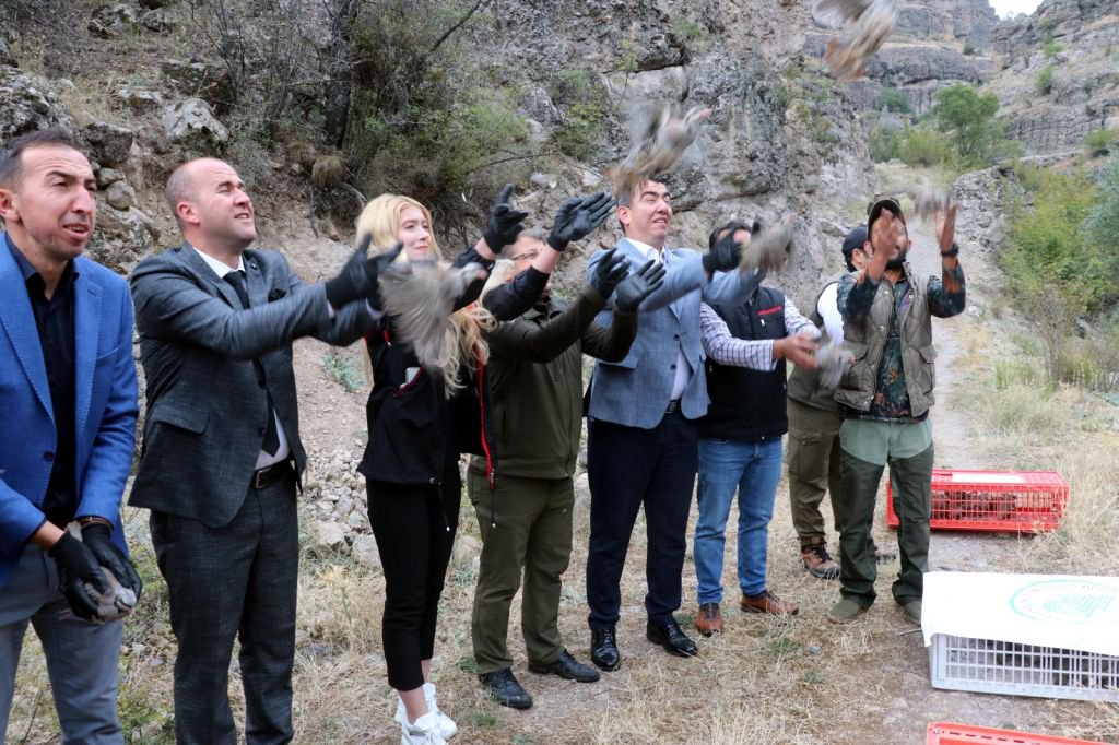 BOLU'DA 650 KEKLİĞE KRİTİK GÖREV