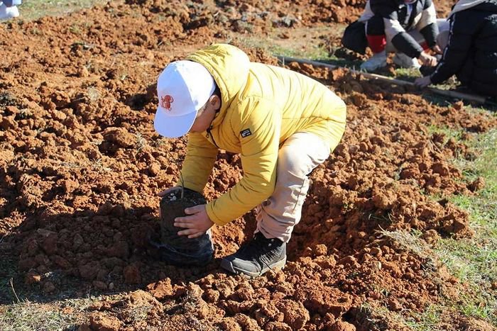 BOLU’DA ORMAN SEFERBERLİĞİ