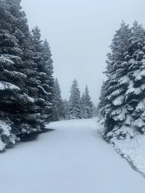 BOLU'NUN DAĞLARI BEYAZ ÖRTÜYLE SÜSLENDİ