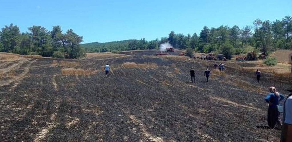 BUĞDAY EKİLİ TARLA KÜL OLDU