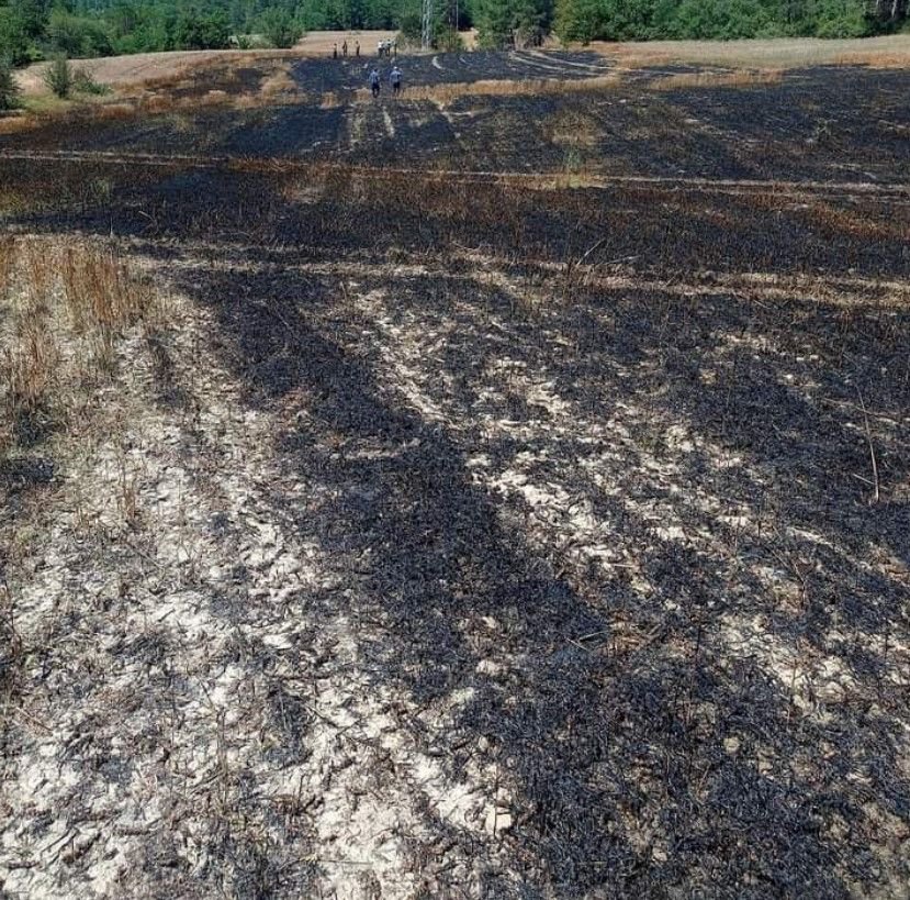 BUĞDAY EKİLİ TARLA KÜL OLDU