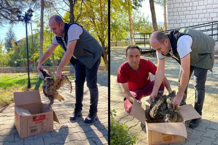 DERE KENARINDA YARALI HALDE BULUNDU