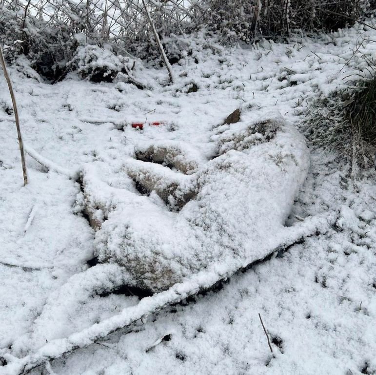 GEREDE'DE KORKUNÇ GÖRÜNTÜLER