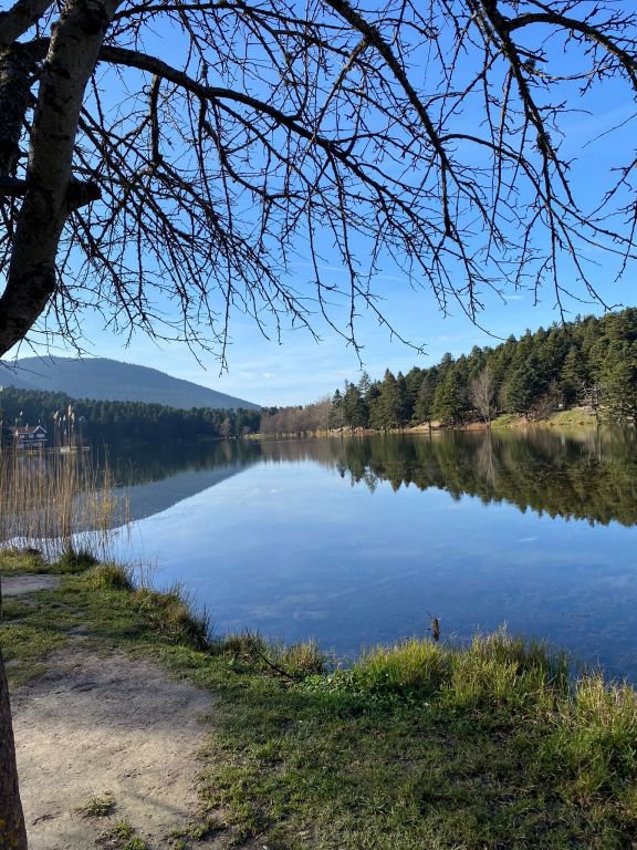 GÖLCÜK’ÜN TADINI DANS EDEREK ÇIKARDILAR