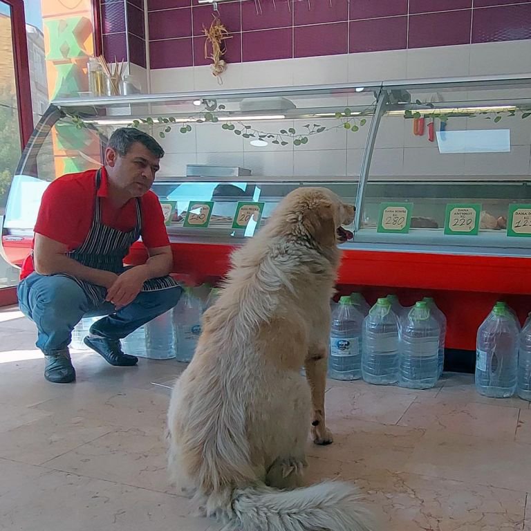 HAYATINI KURTARAN KÖPEK 'CAN DOSTU' OLDU