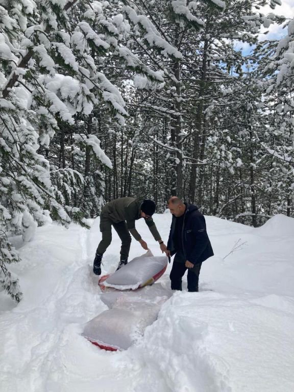 HAYVANLARA YARDIM ELİ