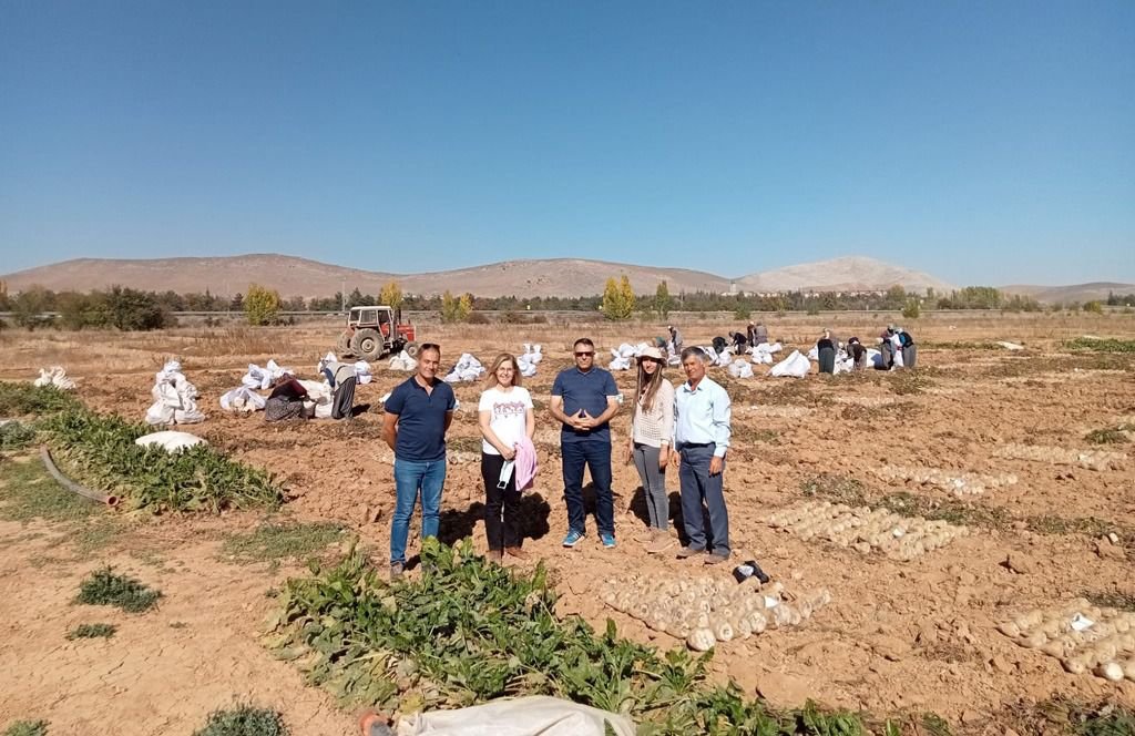 İLK YERLİ VE MİLLİ ŞEKER PANCARI BOLU’DA ÜRETİLDİ