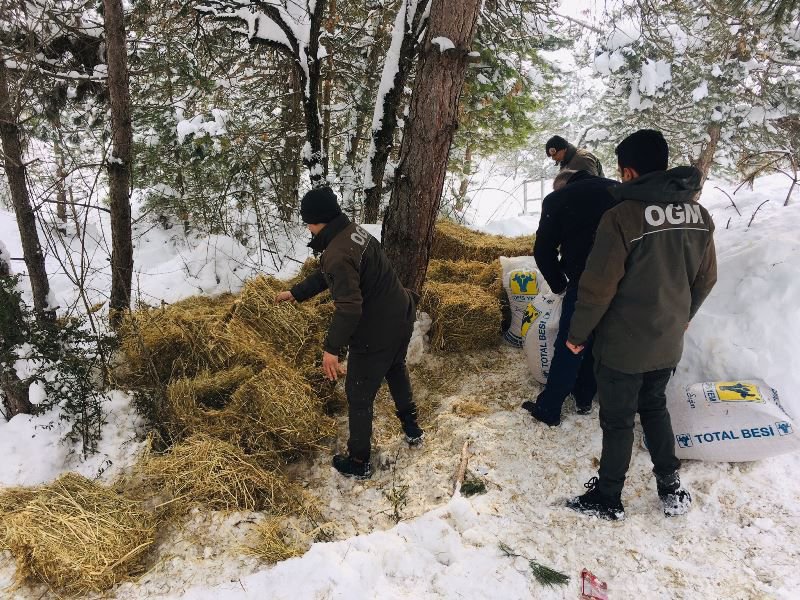 KARLA KAPLU ORMANLARA YEM BIRAKILDI
