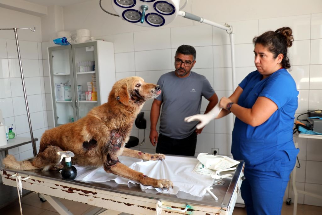 KORKUNÇ VAHŞETE PARA CEZASI