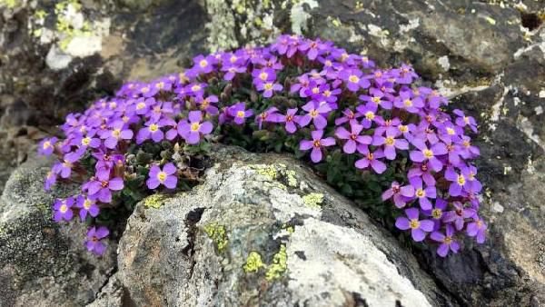 NÜLÜFER KOPARTANA REKOR CEZA