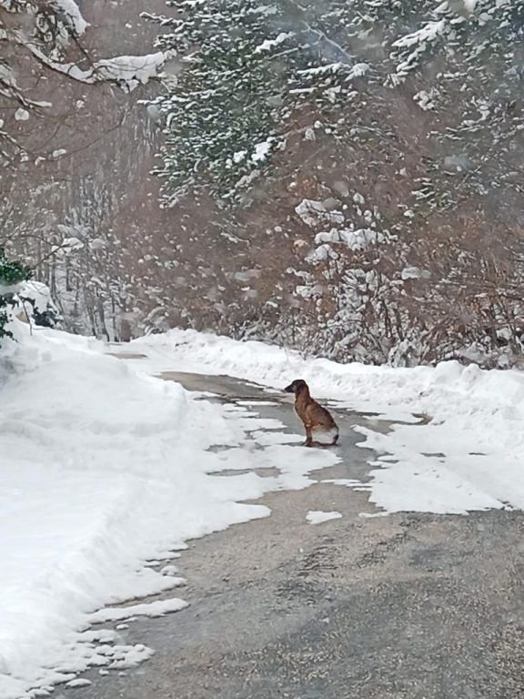 RASİM ÖZDEMİR'DEN SERT TEPKİ