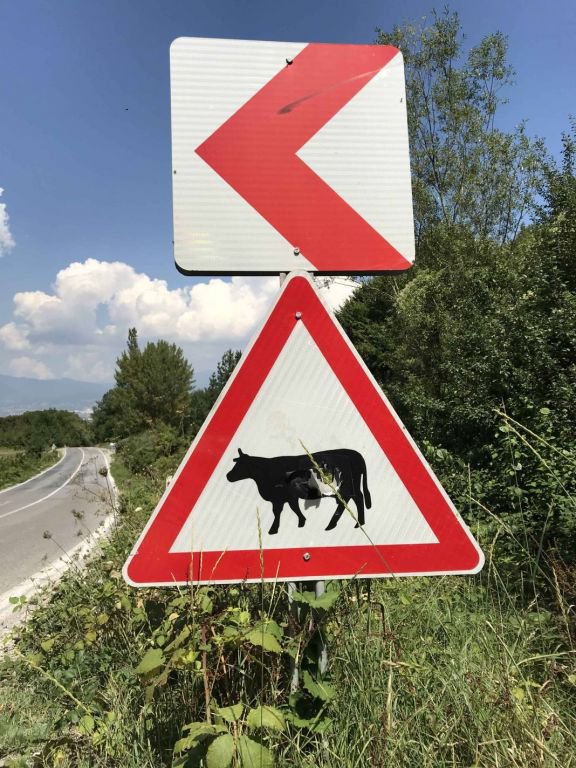 TRAFİK LEVHALARI HEDEF TAHTASINA DÖNDÜ