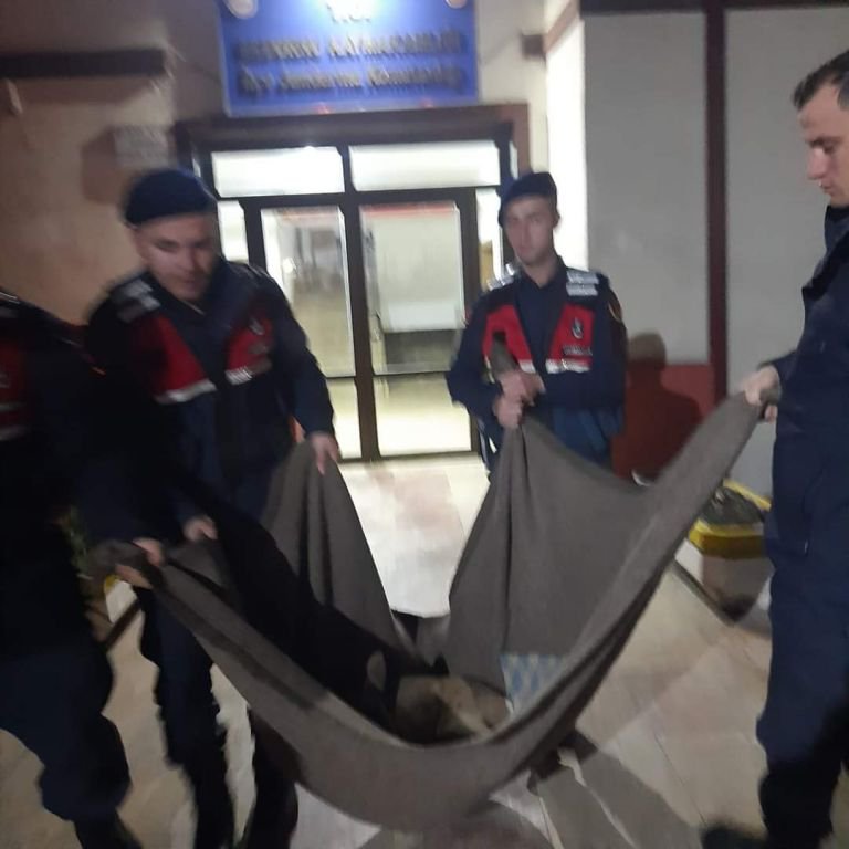 YARALI CEYLANIN HAYATINI KURTARDI