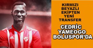 CEDRİC YAMEOGO BOLUSPOR’DA