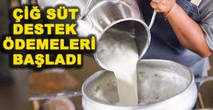 ÇİĞ SÜT DESTEK ÖDEMELERİ BAŞLADI