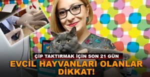 ÇİP TAKTIRMAK İÇİN SON 21 GÜN!