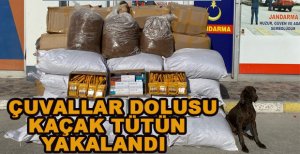 ÇUVALLAR DOLUSU KAÇAK TÜTÜN ELE GEÇİRİLDİ