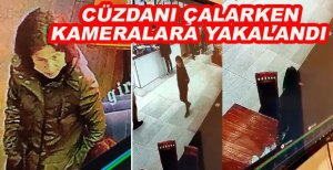DİNLENME TESİSİNDE CÜZDANI ÇALARKEN KAMERALARA YAKALANDI