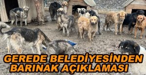 GEREDE BELEDİYESİNDEN BARINAK AÇIKLAMASI
