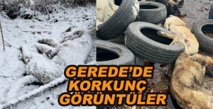GEREDE'DE KORKUNÇ GÖRÜNTÜLER