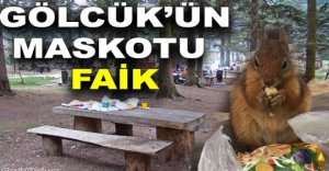 GÖLCÜK'ÜN MASKOTU FAİK