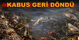 GÖLKÖY’DE ESRARENGİZ ÖLÜMLER DEVAM EDİYOR