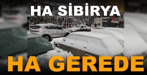 HA SİBİRYA HA GEREDE…