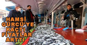 HAMSİ FİYATLARI UÇTU