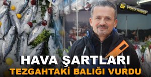 HAVA ŞARTLARI TEZGAHTAKİ BALIKLARI VURDU