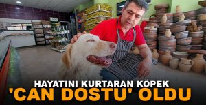 HAYATINI KURTARAN KÖPEK 'CAN DOSTU' OLDU