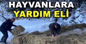 HAYVANLARA YARDIM ELİ