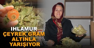 IHLAMUR ÇEYREK GRAM ALTINLA YARIŞIYOR