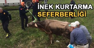 İNEK KURTARMA SEFERBERLİĞİ