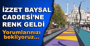 İZZET BAYSAL CADDESİNE RENK GELDİ