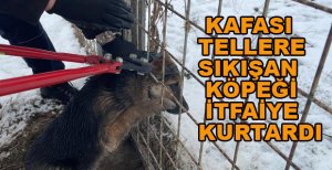 KAFASI SIKIŞAN KÖPEĞİ İTFAİYE KURTARDI