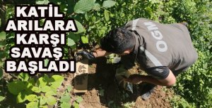 KATİL ARILARA KARŞI SAVAŞ BAŞLADI
