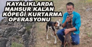 KAYALIKLARDA MAHSUR KALAN KÖPEĞİ KURTARMA OPERASYONU